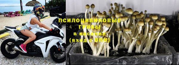 а пвп мука Армянск