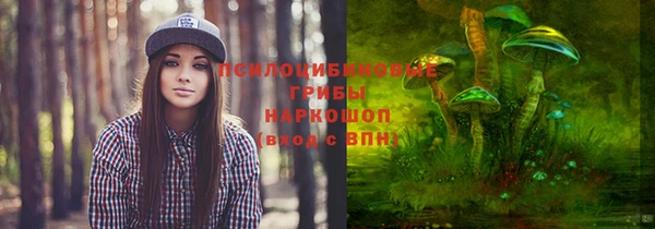 дурь Арсеньев